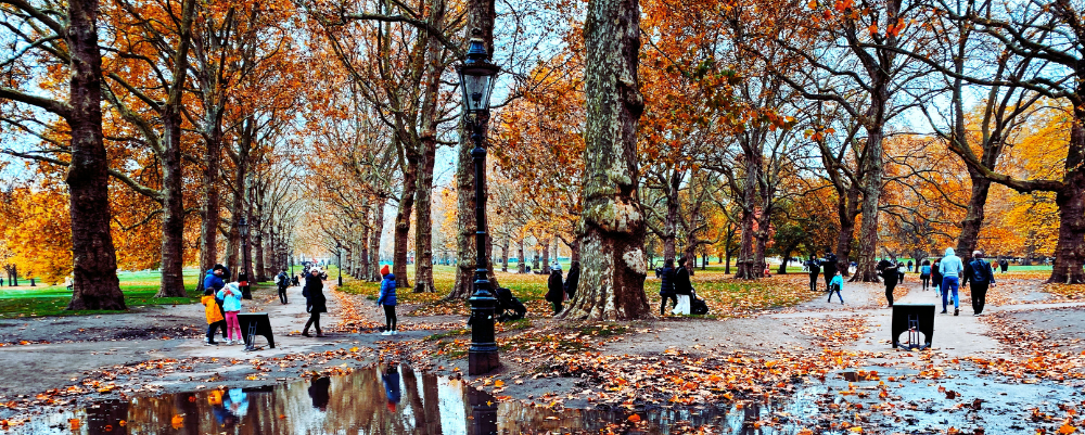 welcome autumn