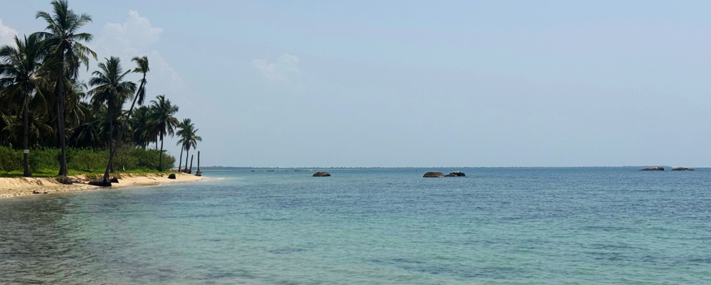 consigli di viaggio sri lanka
